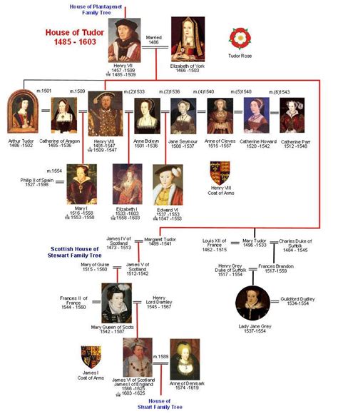 tudor vs|windsors and the tudors.